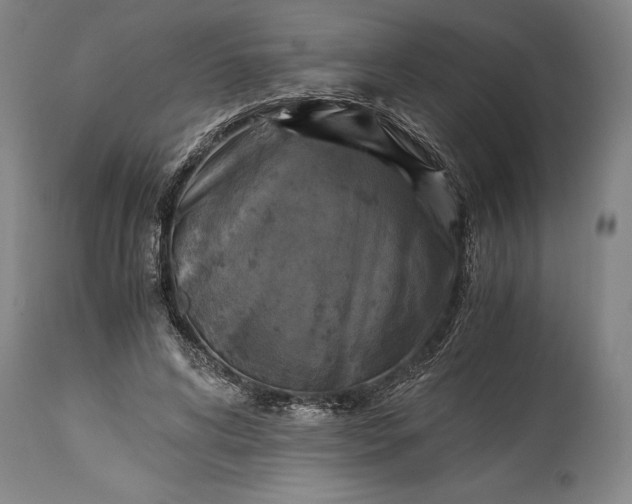 X0000115440592200911181525