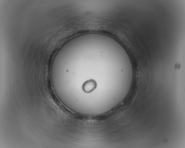 X0000115440593200911181525