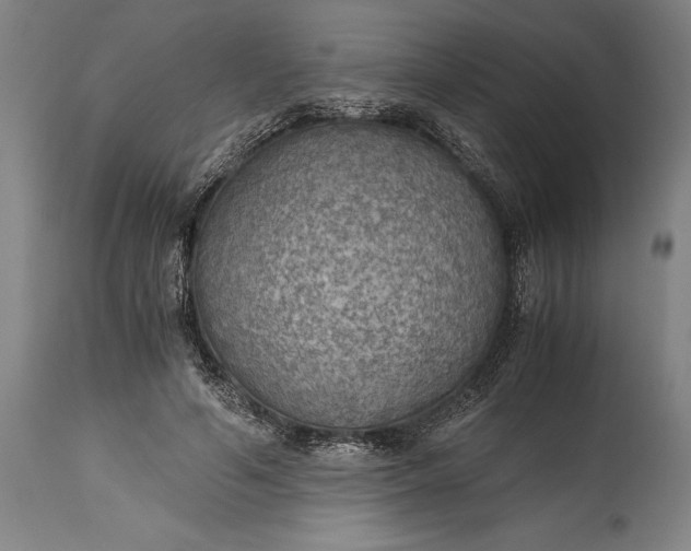 X0000115440594200911181525