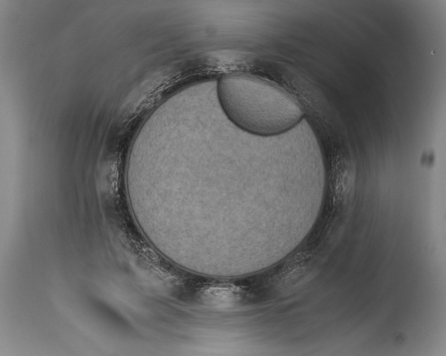 X0000115440595200911181525