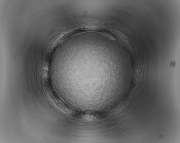 X0000115440596200911181525