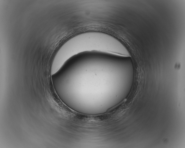 X0000115440597200911181525