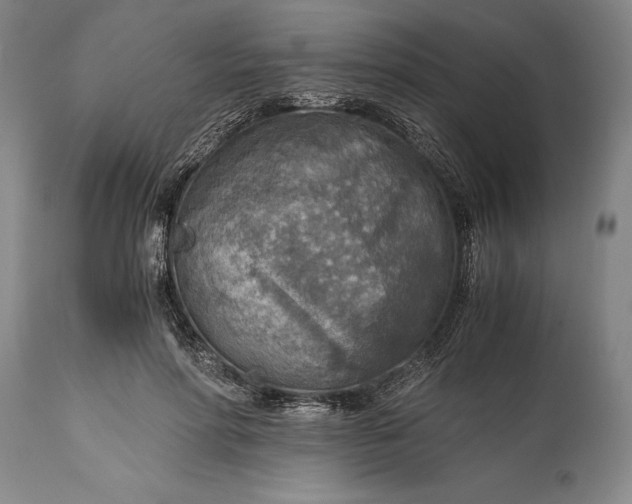 X0000115440598200911181525