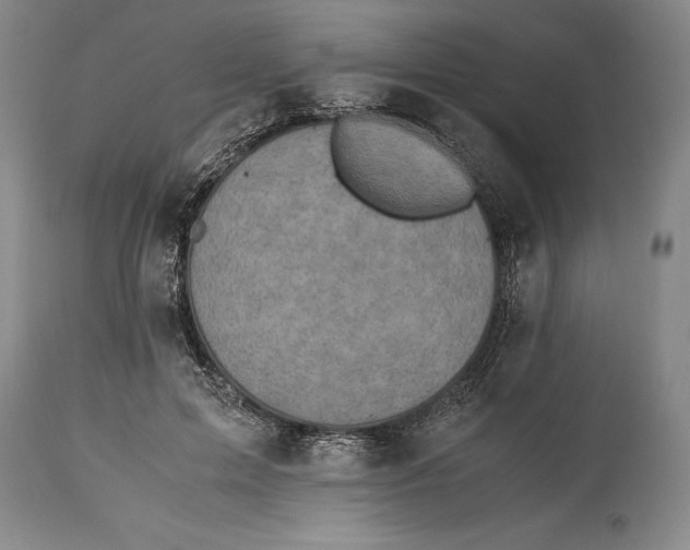 X0000115440599200911181525