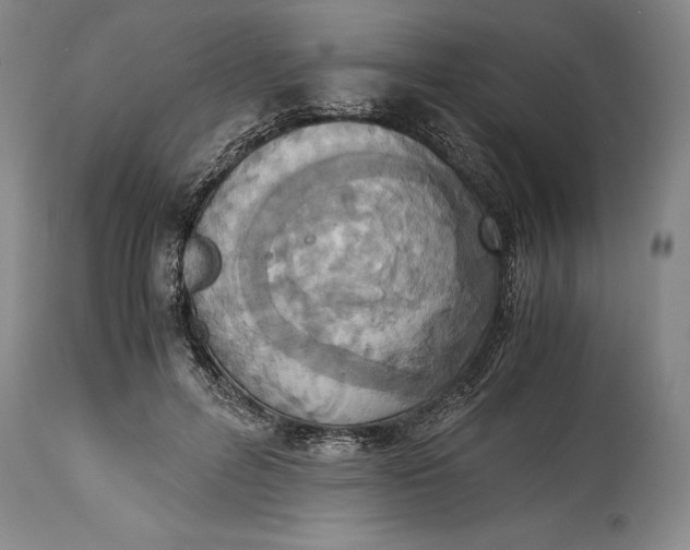 X0000115440600200911181525