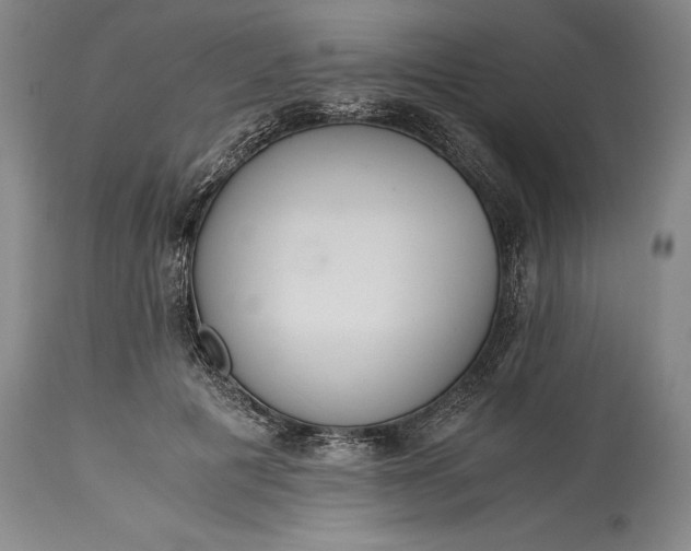 X0000115440601200911181525