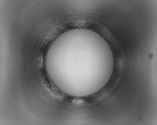 X0000115440602200911181525