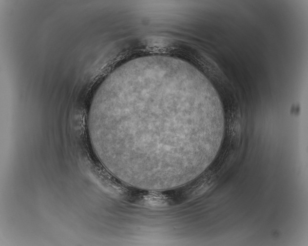 X0000115440603200911181525
