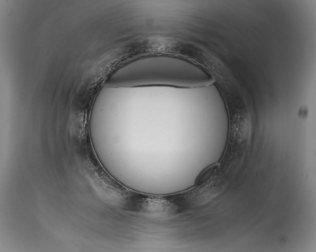 X0000115440605200911181525