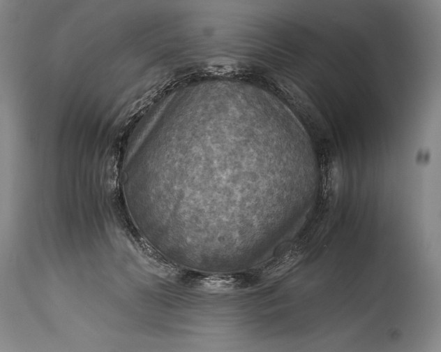 X0000115440606200911181525