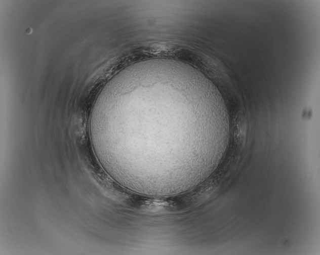X0000115440607200911181525