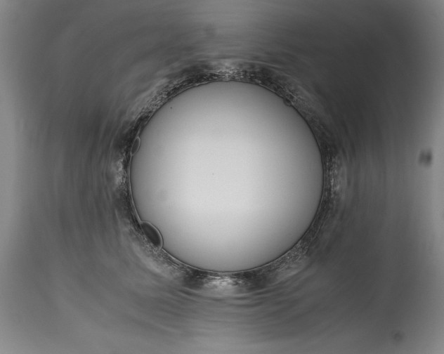 X0000115440611200911181525