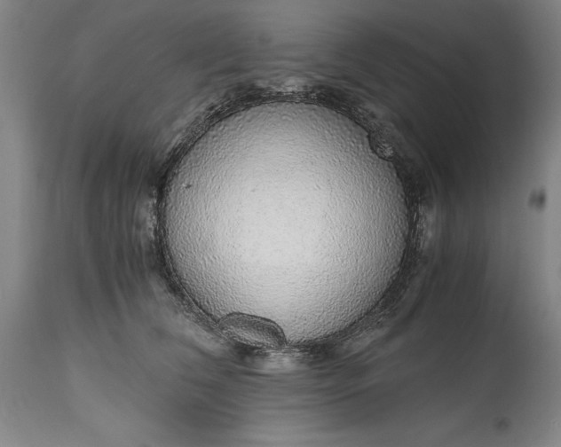 X0000115440612200911181525