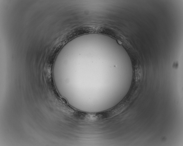 X0000115440613200911181525