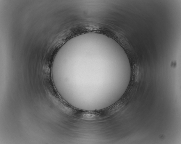 X0000115440614200911181525