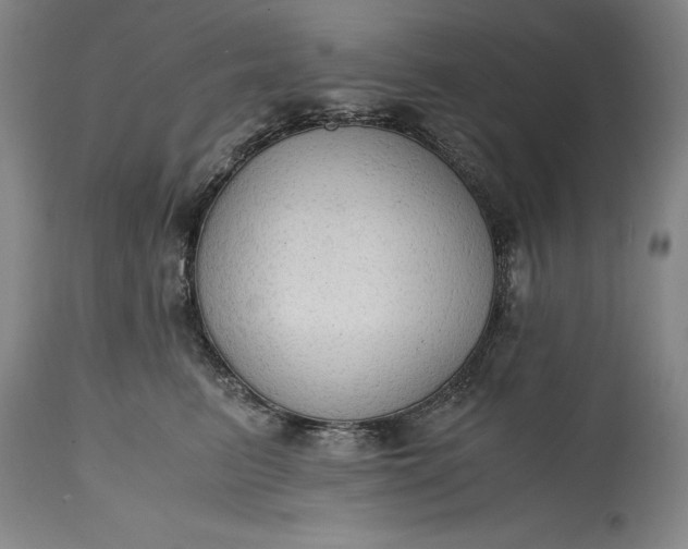 X0000115440615200911181525