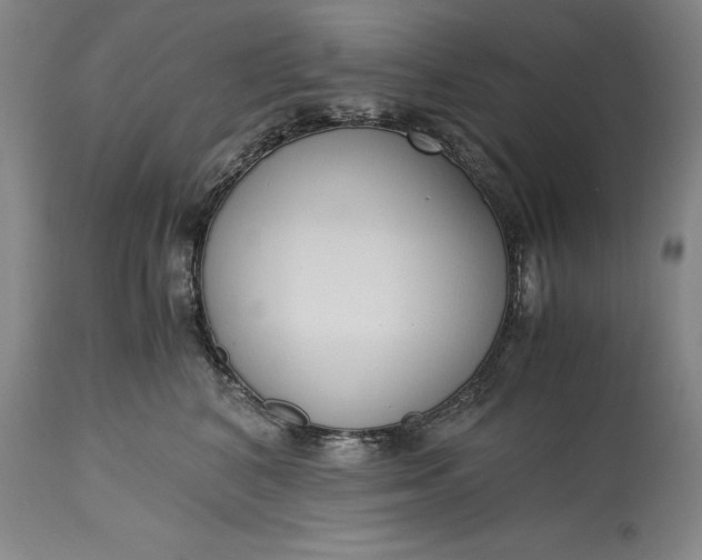 X0000115440616200911181525