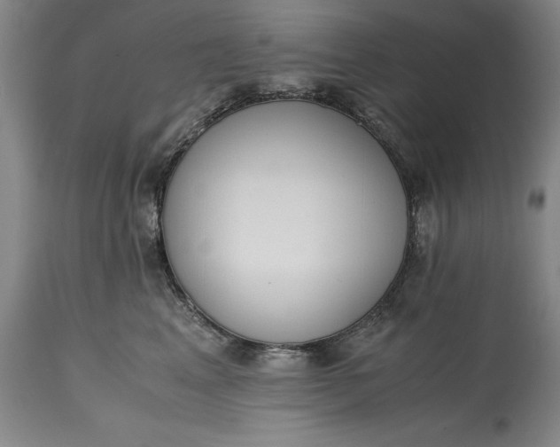 X0000115440617200911181525