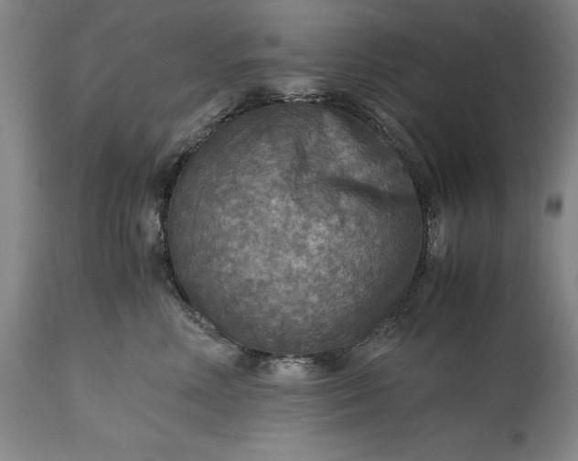 X0000115440618200911181525