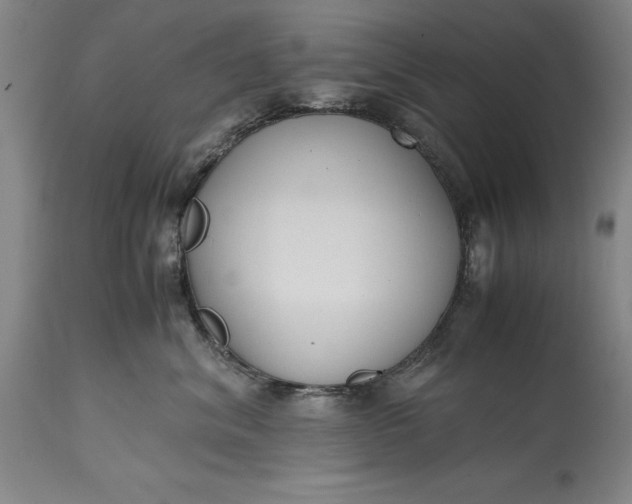 X0000115440620200911181524