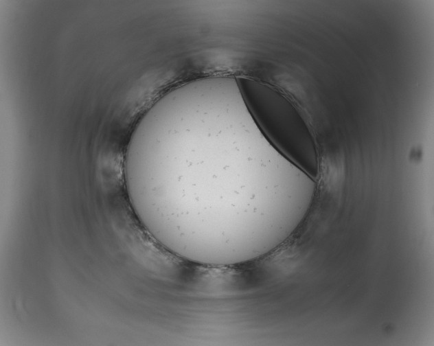 X0000115440621200911181524