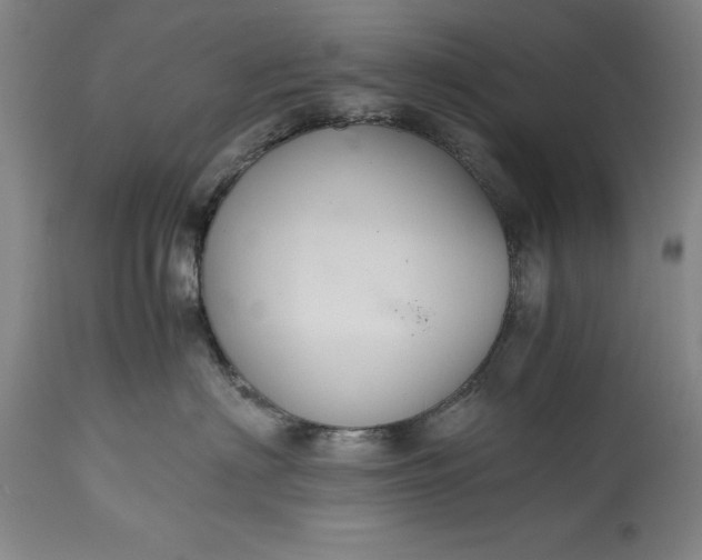 X0000115440622200911181524