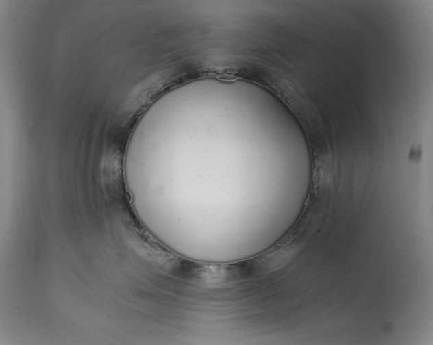 X0000115440623200911181524