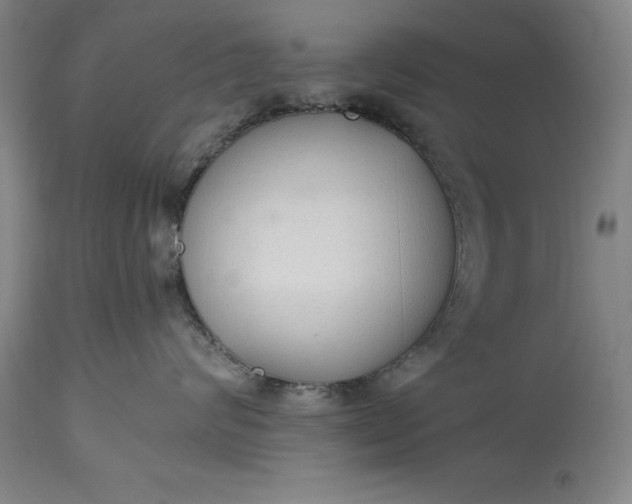 X0000115440624200911181524