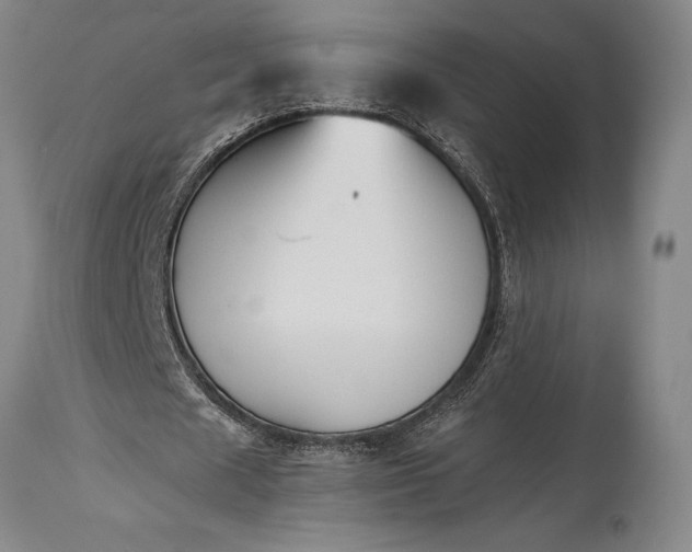 X0000115440625200911181524