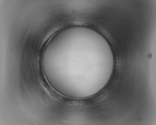 X0000115440626200911181524