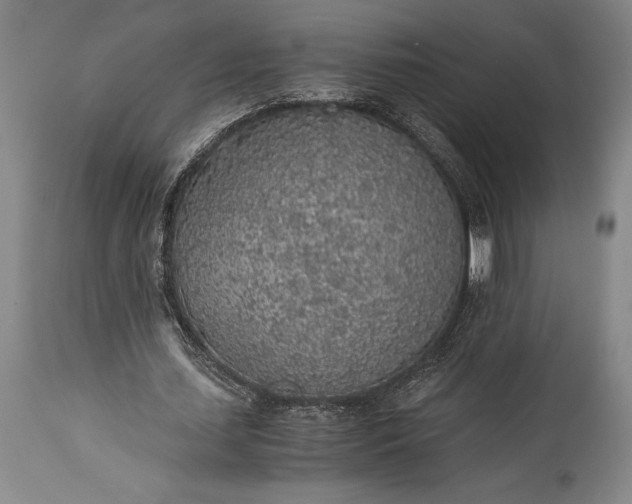 X0000115440627200911181524