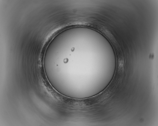 X0000115440628200911181524
