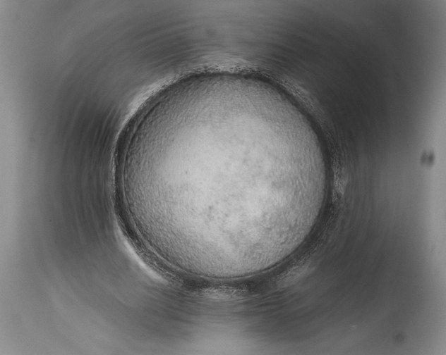 X0000115440630200911181524