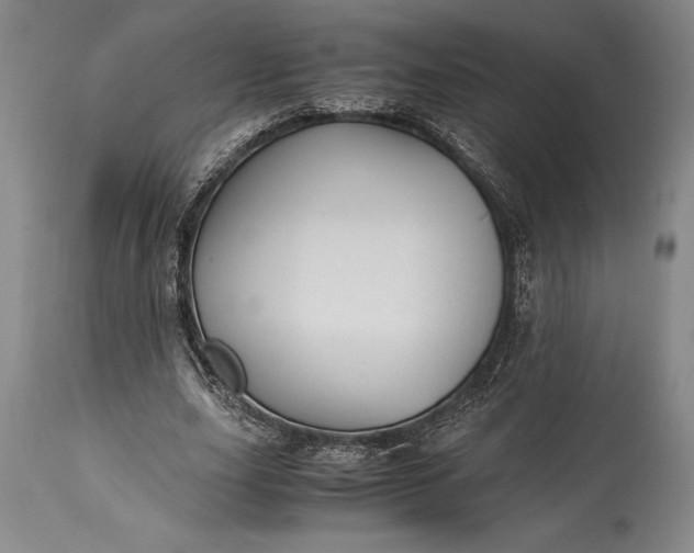 X0000115440631200911181524
