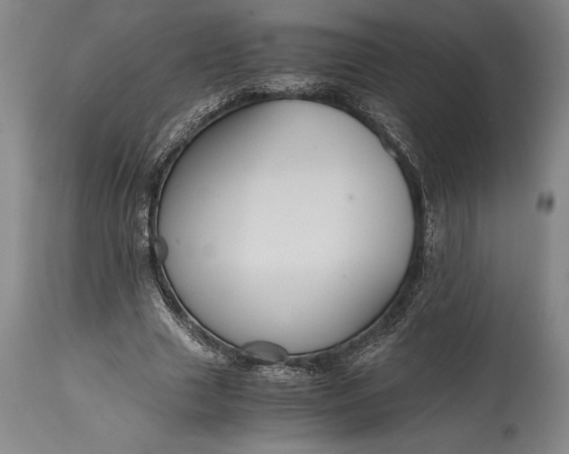 X0000115440633200911181524