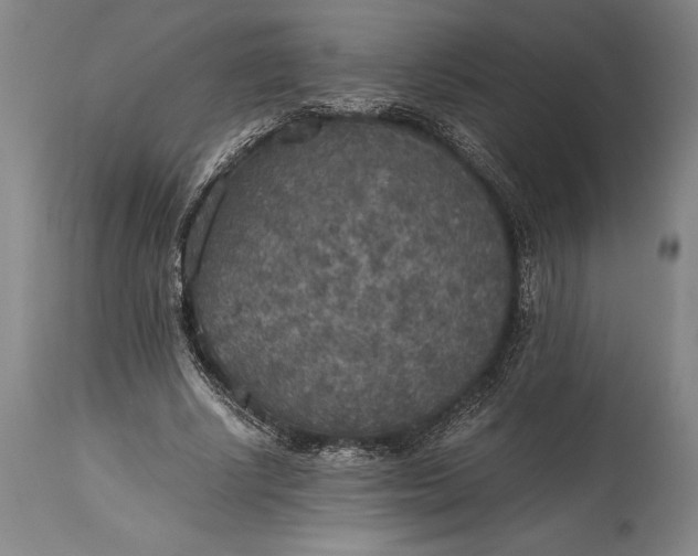 X0000115440634200911181524