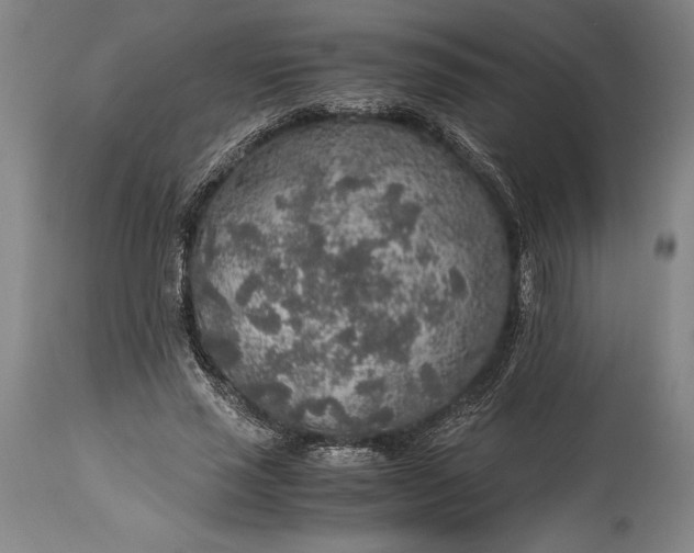 X0000115440637200911181524