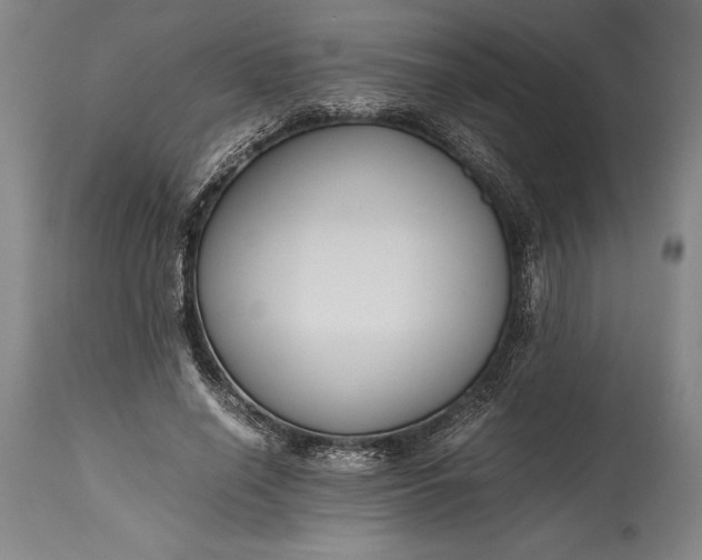 X0000115440638200911181524