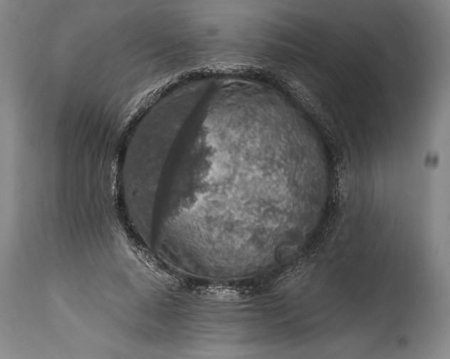 X0000115440640200911181524