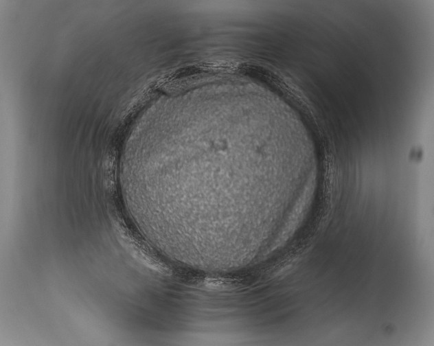 X0000115440641200911181524