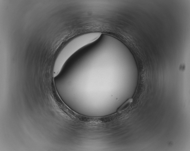 X0000115440642200911181524