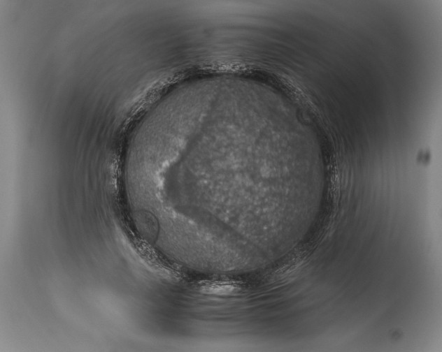 X0000115440643200911181524
