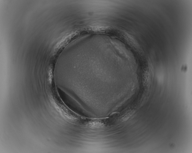 X0000115440644200911181524