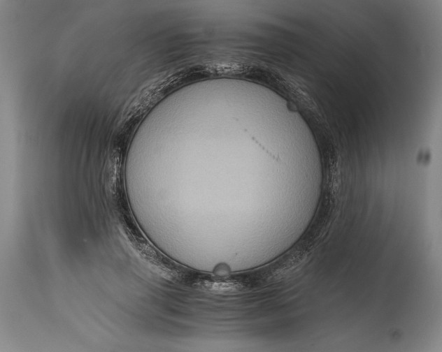 X0000115440645200911181524