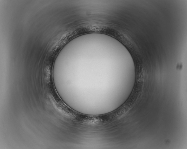 X0000115440646200911181524