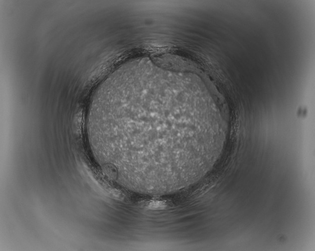 X0000115440647200911181524