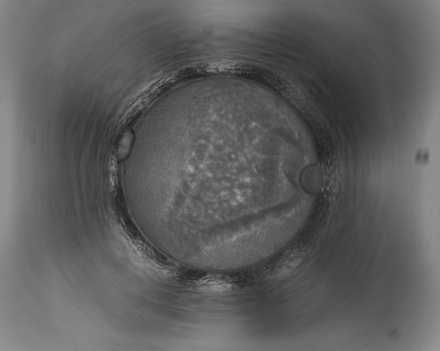 X0000115440648200911181524