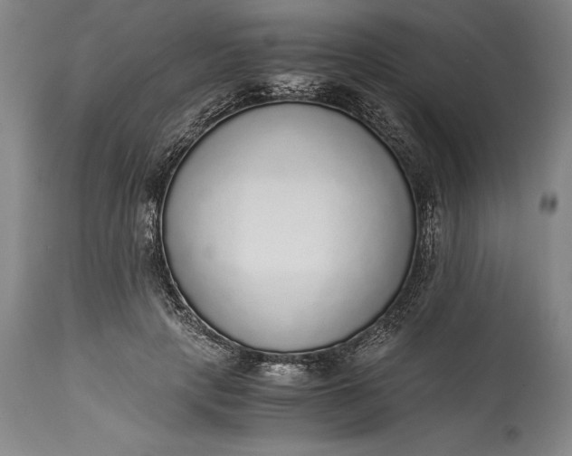 X0000115440649200911181524