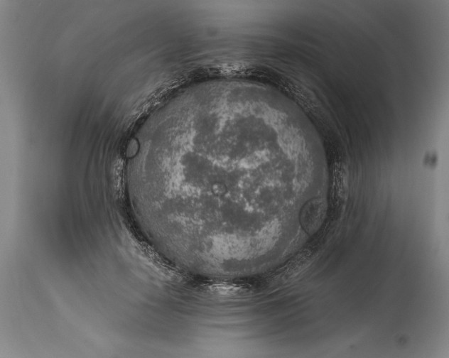 X0000115440650200911181524