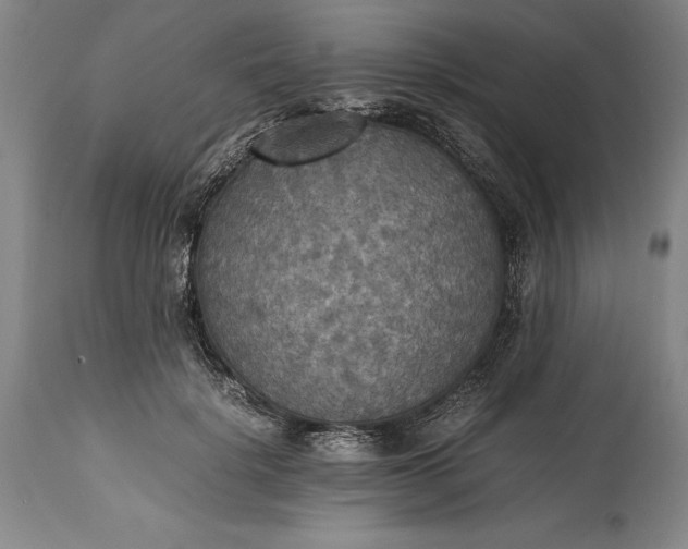 X0000115440652200911181524